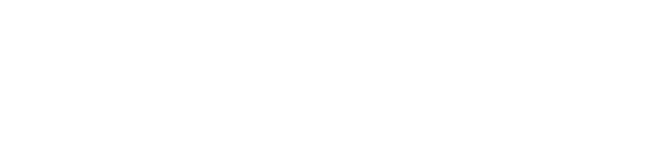 company directors insurance